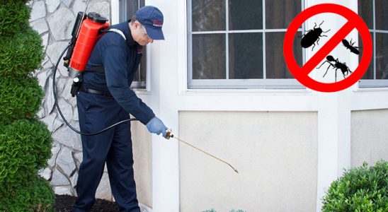 Ağrı Tahtakurusu İlaçlama böcek ilaçlama ve haşere kontrolü — ilaclama-tr.com